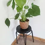 W Starym Stylu Сребрна Гура
