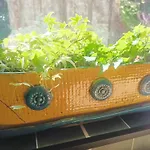 Apartament W Starym Stylu *