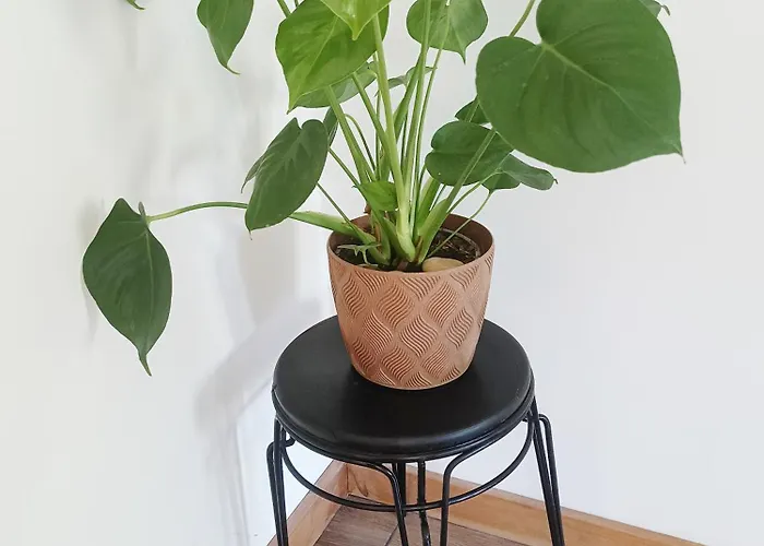 W Starym Stylu Srebrna Góra