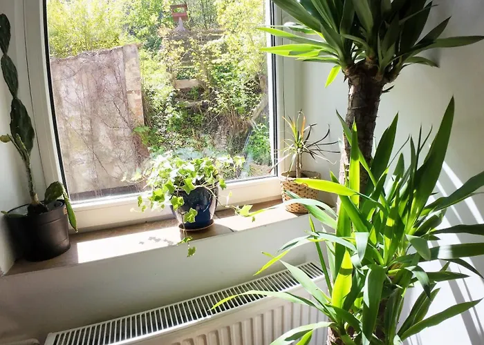 Lejlighed W Starym Stylu