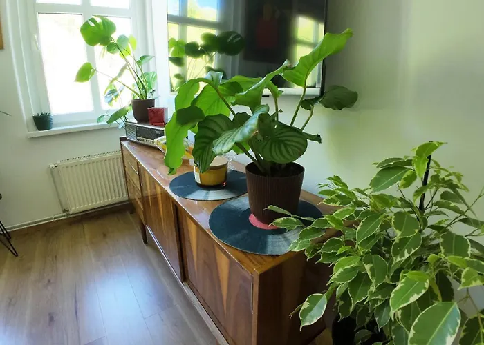 W Starym Stylu Srebrna Góra